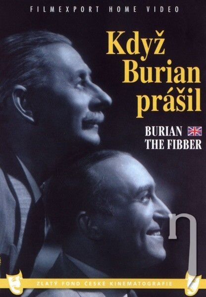 DVD Film - Když Burian prášil (pošetka) FE