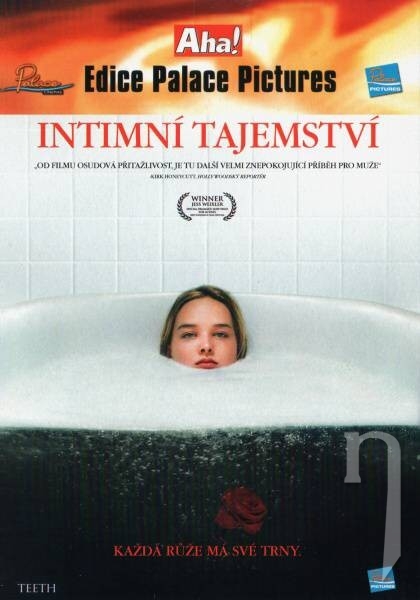 DVD Film - Intimní tajemství