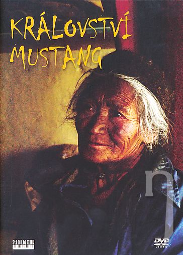 DVD Film - Království Mustang