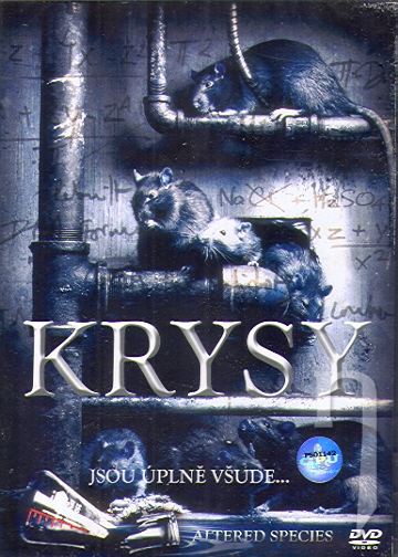 DVD Film - Krysy