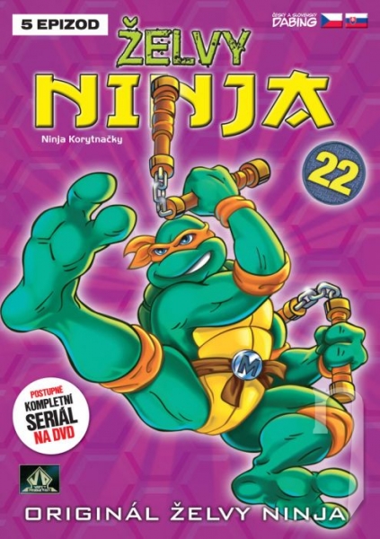 DVD Film - Želvy Ninja 22