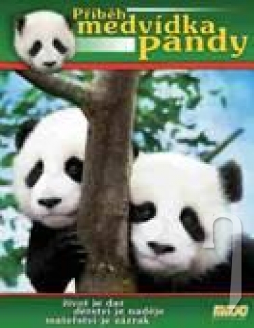 DVD Film - Príbeh medvedíka pandy 