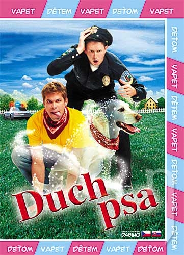 DVD Film - Duch psa