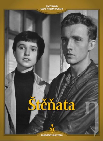 DVD Film - Štěňata (digipack)