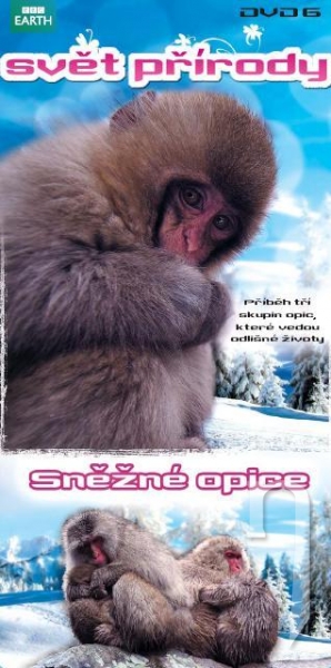 DVD Film - Svet prírody 6 - Snežné opice (papierový obal)