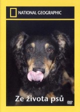 DVD Film - National Geographic: Zo života psov