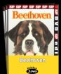 Beethoven / kolekce 3 DVD