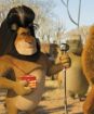 Madagaskar 2: Útek do Afriky  s hračkou - plyšák lev Alex
