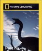 National Geographic: Past na dinosaura