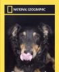 National Geographic: Zo života psov