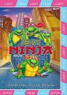 DVD Film - Želvy Ninja 1