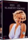 DVD Film - Slaměný vdovec
