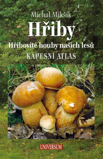 Kniha - Hřiby