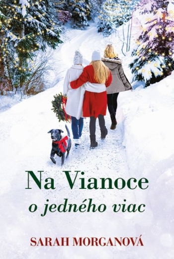 Kniha - Na vianoce o jedného viac