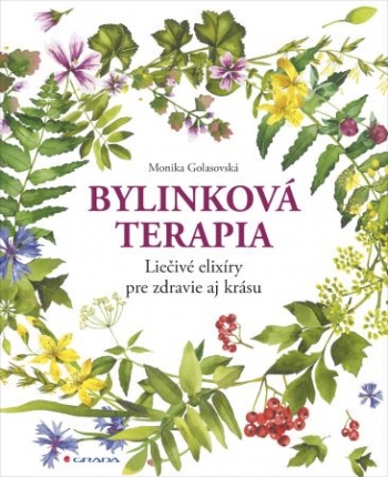 Kniha - Bylinková terapia