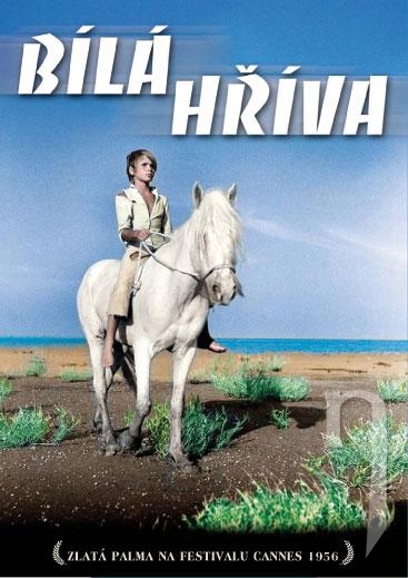 DVD Film - Biela hriva (papierový obal)