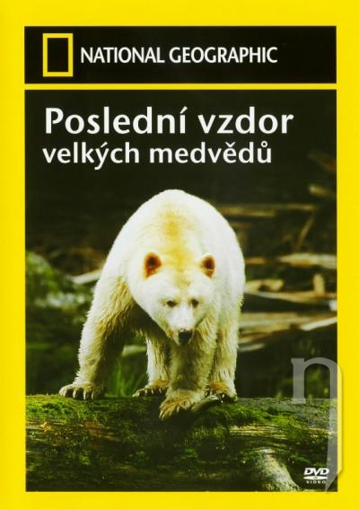 DVD Film - National Geographic: Posledný vzdor veľkých medveďov