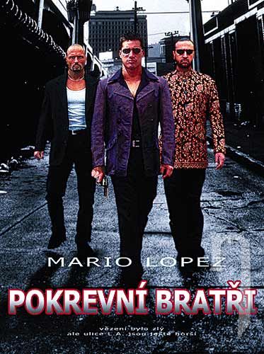 DVD Film - Pokrevní bratři