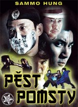 DVD Film - Pěst pomsty