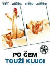 DVD Film - Po čem touží kluci