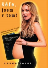 DVD Film - Šéfe, jsem v tom! (digipack)