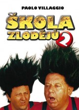 DVD Film - Škola zlodějů 2