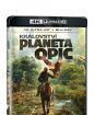 Království Planeta opic 2BD (UHD+BD)