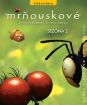 Mrňouskové DVD VII.