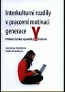 Kniha - Interkulturní rozdíly v pracovní motivaci generace Y 