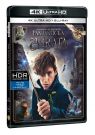 BLU-RAY Film - Fantastická zvířata a kde je najít 2BD (UHD+BD)