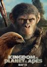 DVD Film - Království Planeta opic