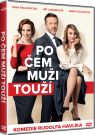 DVD Film - Po čem muži touží