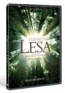 DVD Film - Tajemství lesa